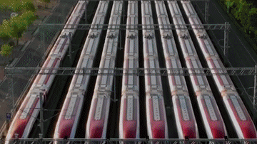 369f9b099cd14c5ca98ff6d17d76cd51.gif