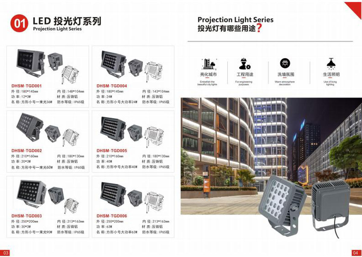 广东荣意光电科技有限公司